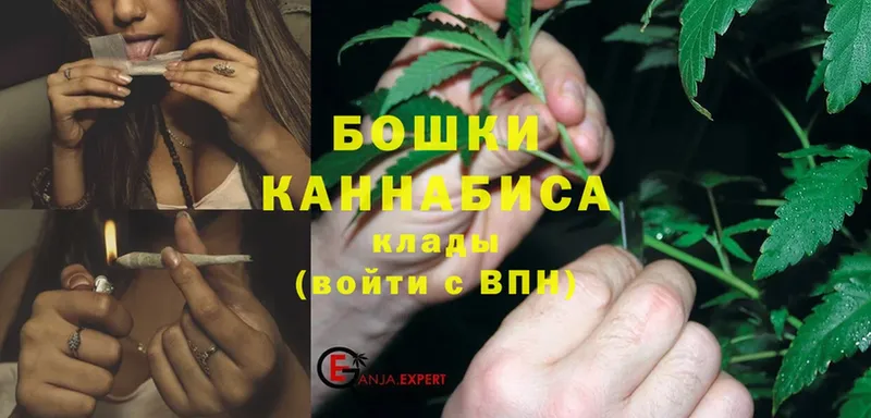 Шишки марихуана White Widow  Белая Холуница 